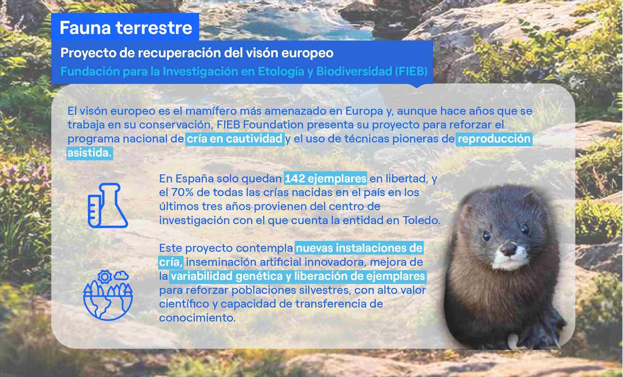 proyectos de biodiversidad