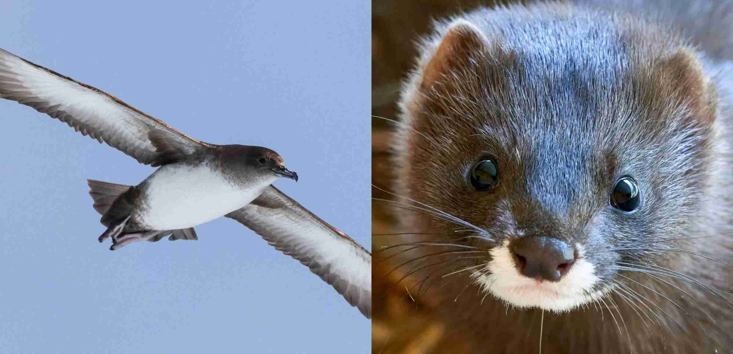 proyectos de biodiversidad