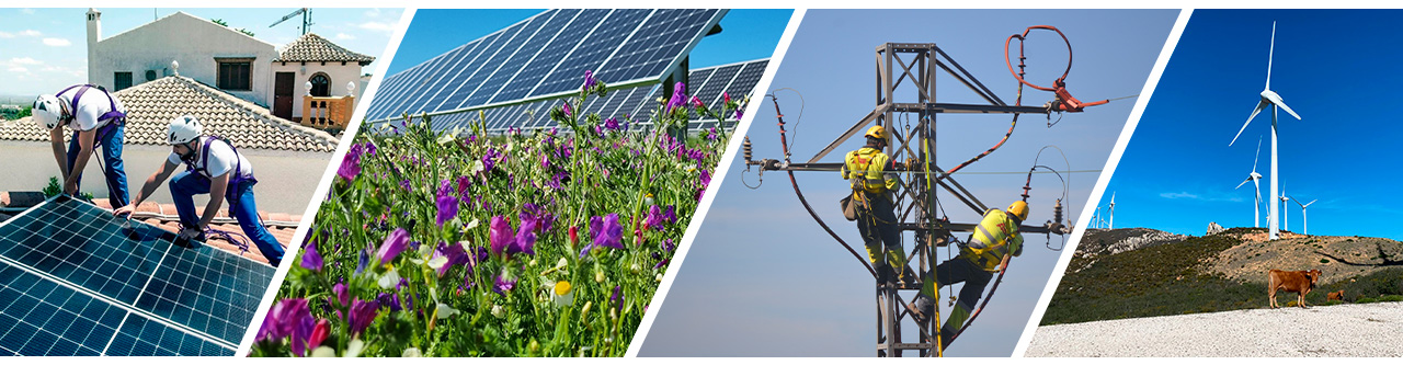 collage transicion energetica